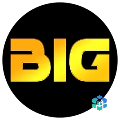 Logo bighoki